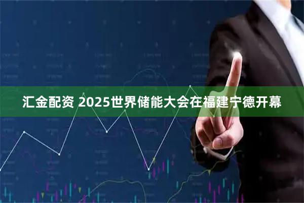 汇金配资 2025世界储能大会在福建宁德开幕